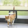 Drehtür mit Katzenklappe